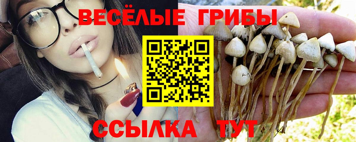 Псилоцибиновые грибы GOLDEN TEACHER Воркута